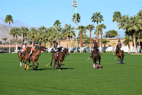 Cracking the Code: Decoding Empire Polo Club's Magic Lights